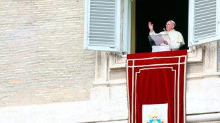 Pope Says the Catholic Church Is Great at Handling Sexual Assault